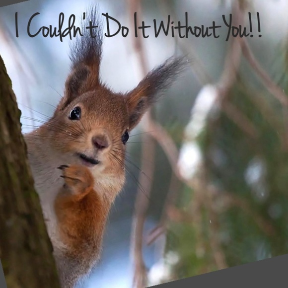 THANK YOU ALL SO MUCH!! - Picture 4 of 8